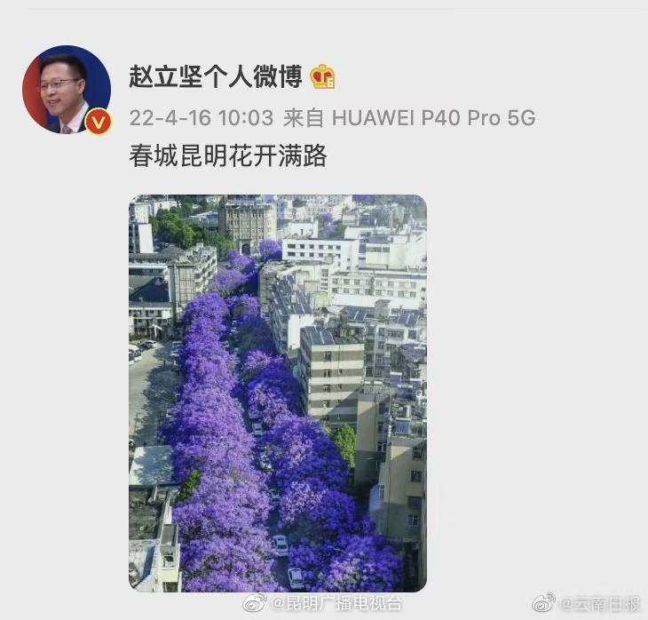 打卡赵立坚同款昆明花海