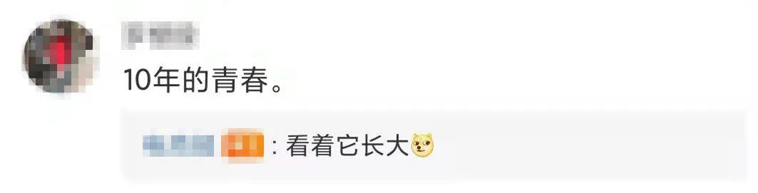 微信新功能冲上热搜，网友：不敢看了