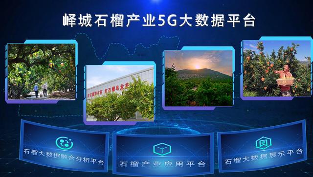 枣庄建设5G石榴大数据分析平台赋能石榴产业发展