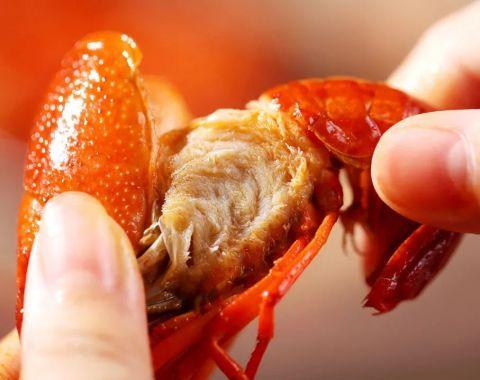 小龙虾毒素最多？听听医生说：小龙虾怎么吃才健康？