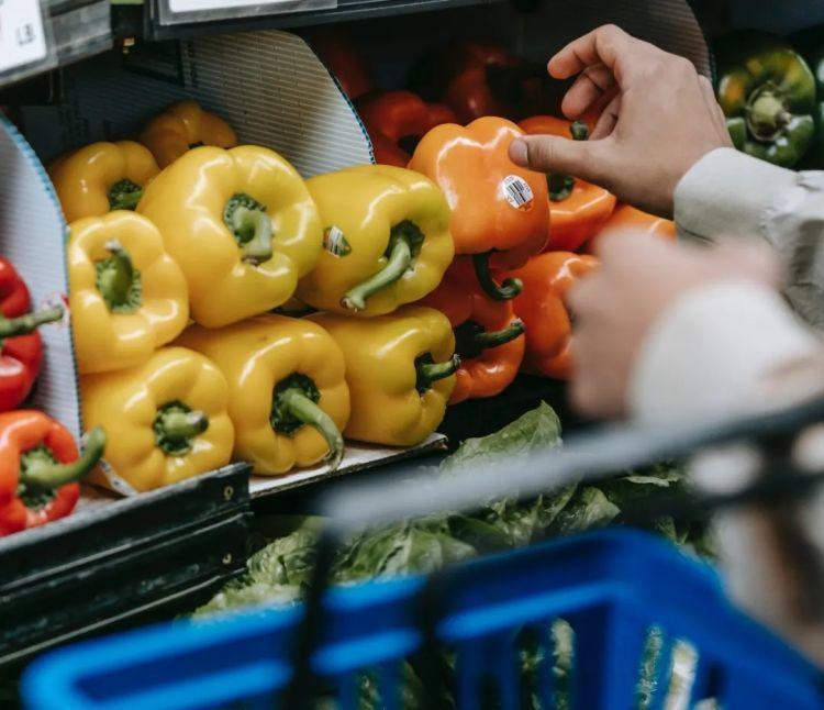 中国连锁经营协会启动余量食物捐赠开拓者计划推进零售行业减少食物浪费行动