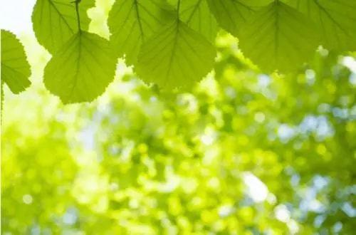 |就等你了，交广宠粉会，向你发起定位