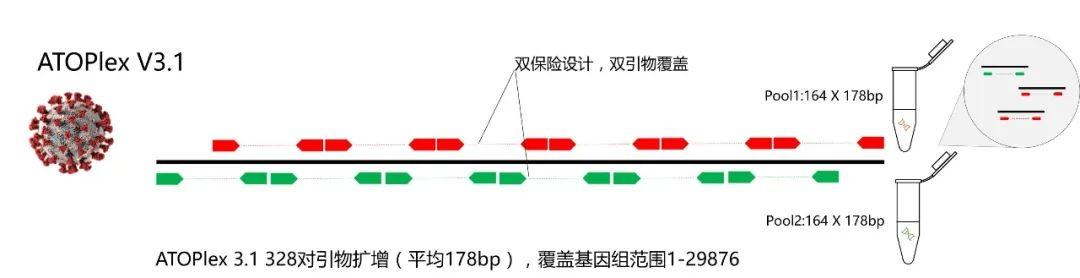 华大智造测序平台助力国内发现首例BA.5变异株