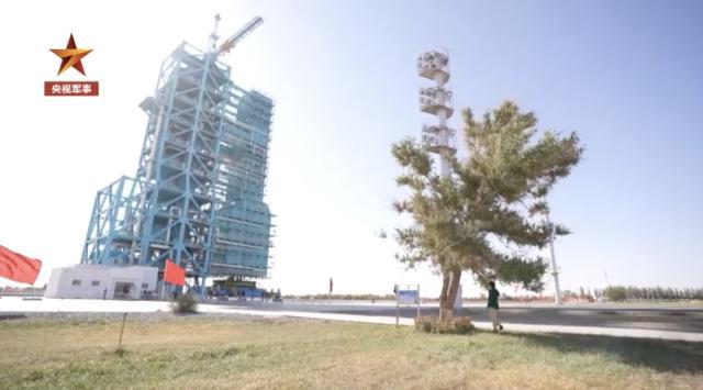 距酒泉卫星发射中心发射塔架仅50米处，“树坚强”旁边长出一棵“树小强”