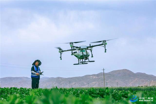 让农业“飞”起来！兰州榆中植保无人机穿越田间忙农事