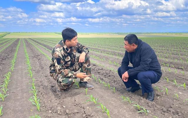 天上北斗导航+地上无人农机！坐在家里“慧”种田