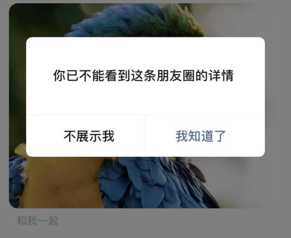 有点浪漫！微信又在测试新功能，网友：期待上线