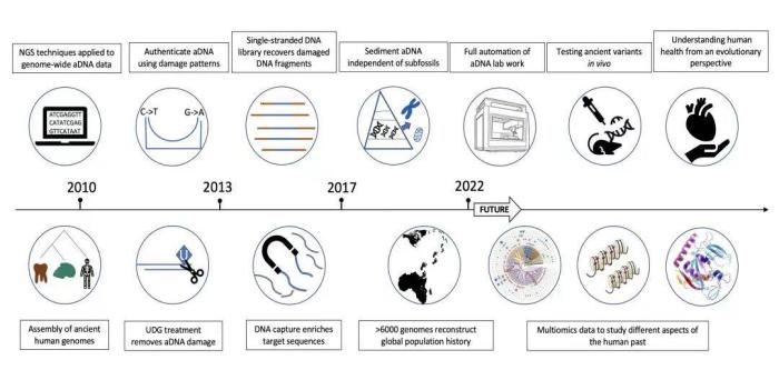 古DNA技术如何发展?付巧妹团队称“浪里淘金”未来可期