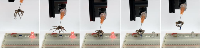 死蜘蛛被科学家改造成僵尸机器人，且力量大增