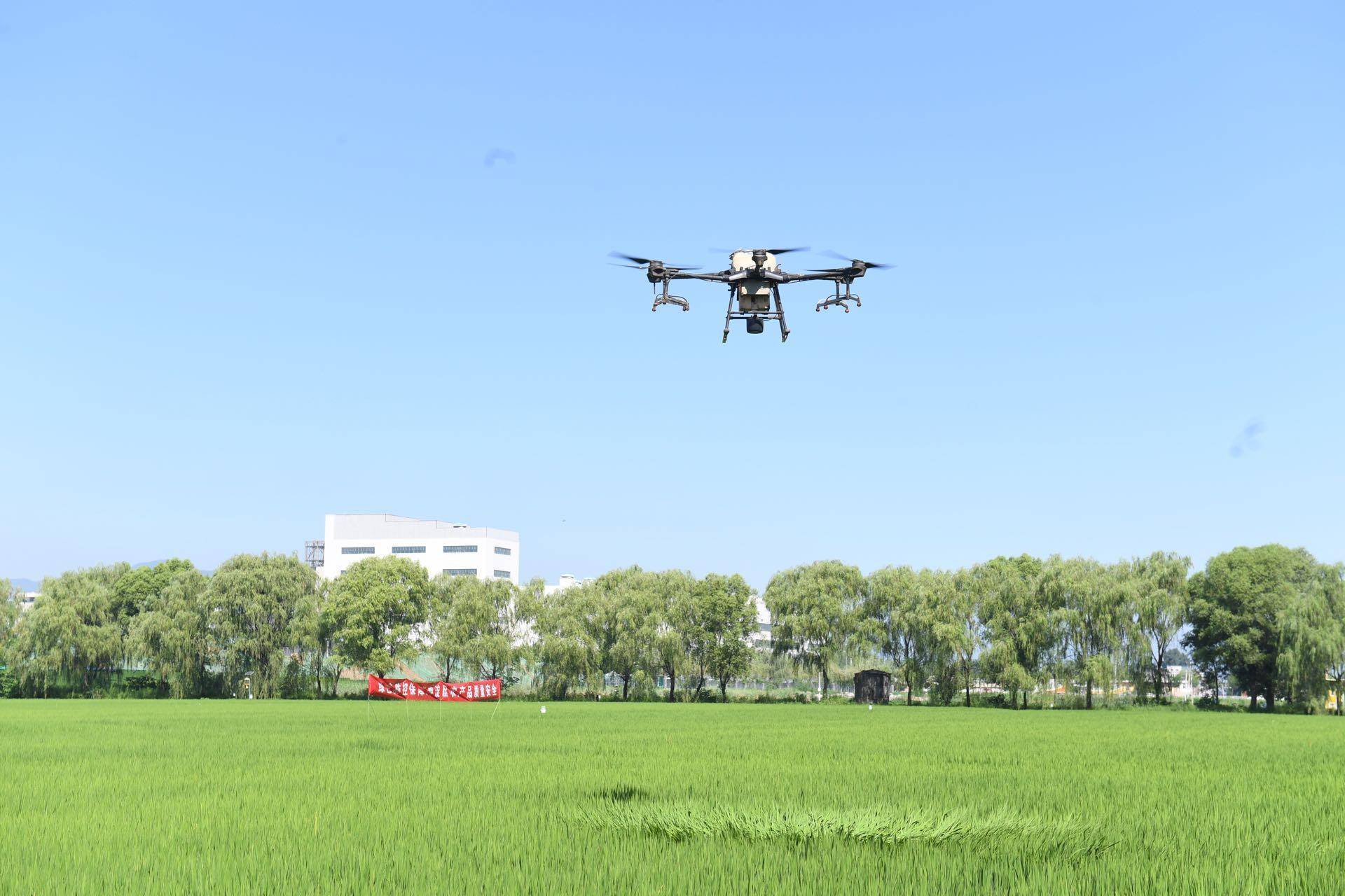 四项国家级技术首次在京使用！无人机防治病虫害满满科技范儿