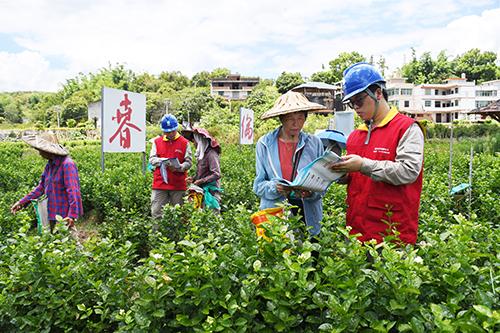 又好又快！国网福州供电深化“阳光业扩”平台应用，让办电更便捷