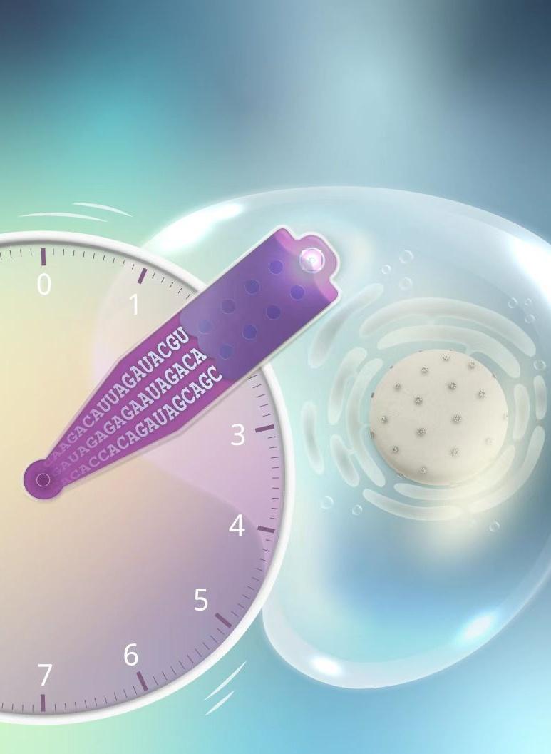 科学家开发“微创”提取技术 让活细胞测序成为可能