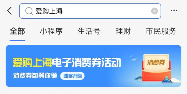 一看就懂！100元上海电子消费券怎么报名？三大平台攻略来了，任选其一就可
