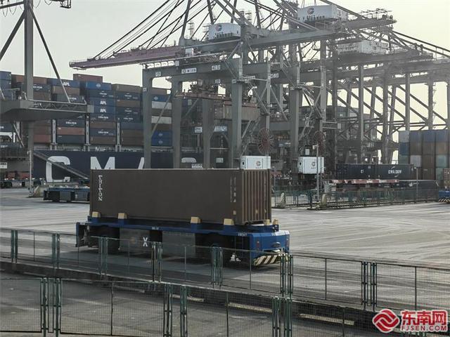 「港口雄开万里流」厦门港：打造行业智慧化标杆 提升国际集装箱干线港活力