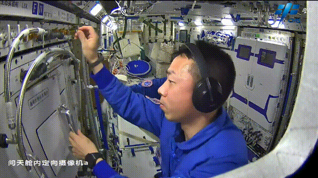 跟随中国空间站进太空的种子，已经长这么高了