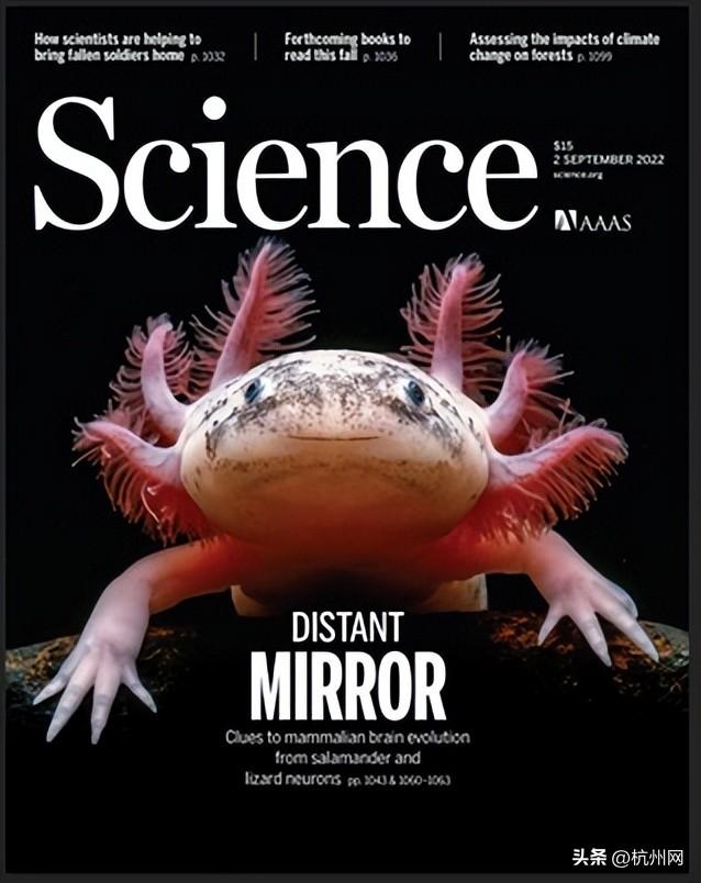 杭州华大生命科学研究院揭牌 首个脑再生时空图谱登《科学》杂志封面