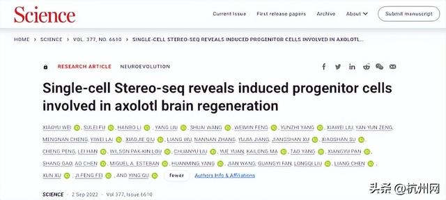 杭州华大生命科学研究院揭牌 首个脑再生时空图谱登《科学》杂志封面