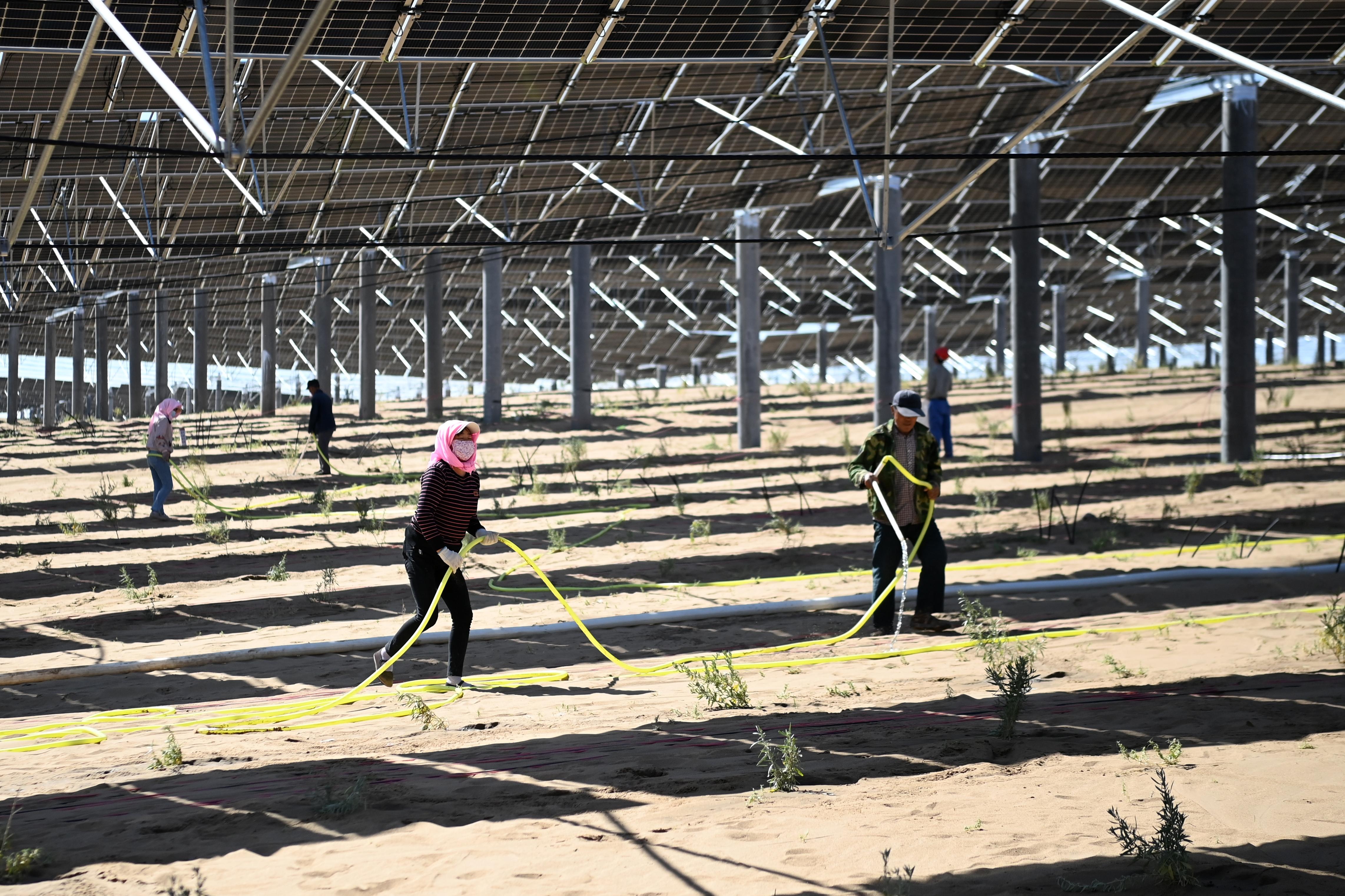 立体光伏治沙产业化项目 绘就腾格里沙漠“生态绿”