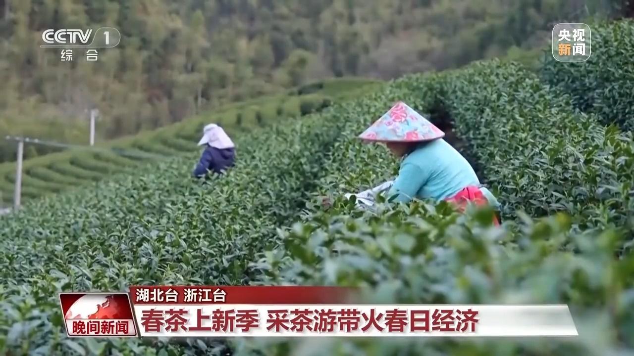 赏花、采茶、观鸟…… 这个清明假期尽享美好春日时光(图10)