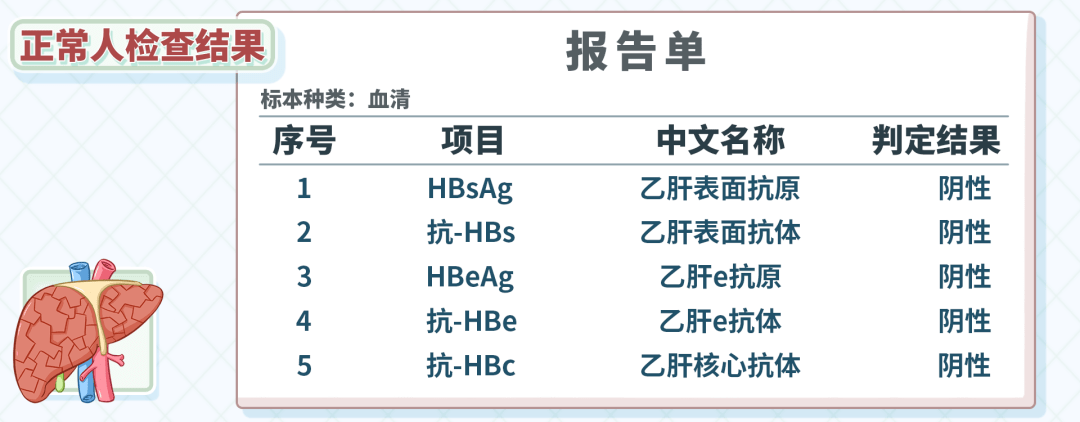 ①全為陰性正常情況下,乙肝五項的檢測應該是兩種結果:其中,核心抗原