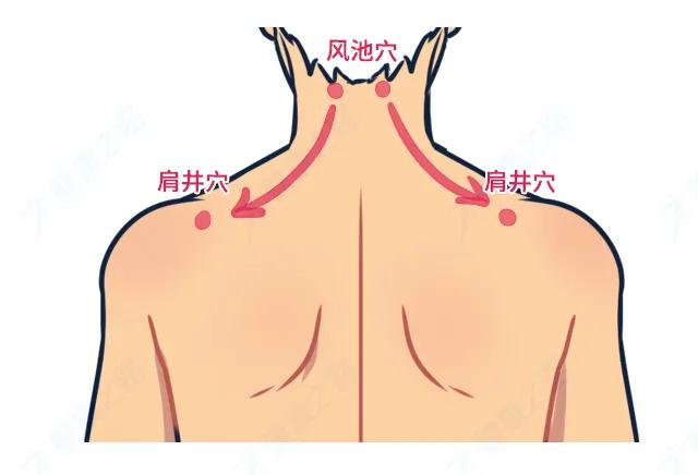 肩颈刮痧位置图片
