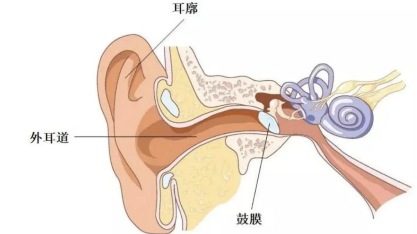 宝宝的耳屎该如何处理?