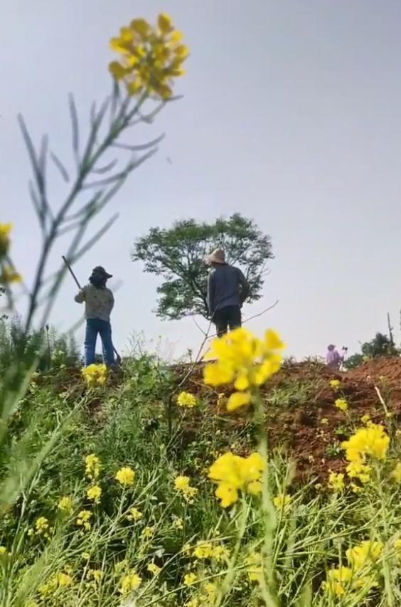 余秀华陪小男友回家种地，小男友亲自喂她吃饭，网友：得瑟不起来