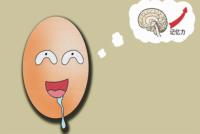 每天吃一个机蛋好不好，每天吃一个机蛋对肾脏有好处