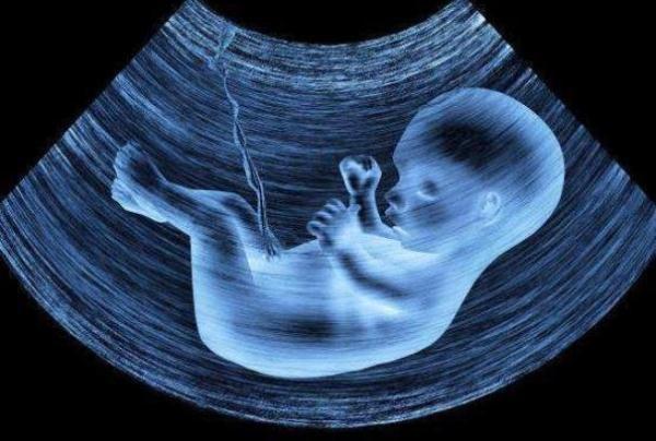 16周胎儿在腹部位置图图片