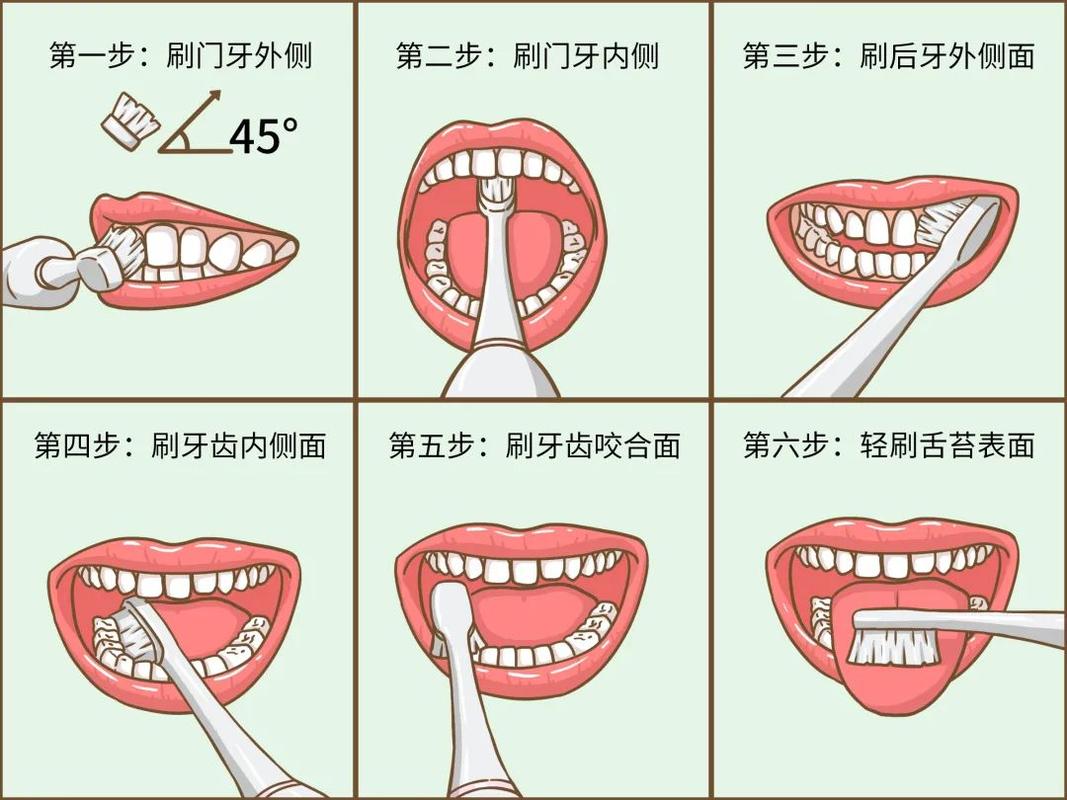 目前比较推崇的是巴氏刷牙法,网上有很多这类的视频,大家可以去网上搜