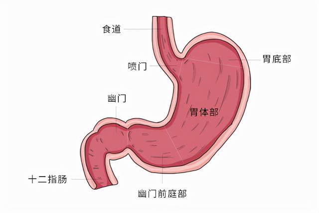 吃饭时也要注意的养胃小技巧