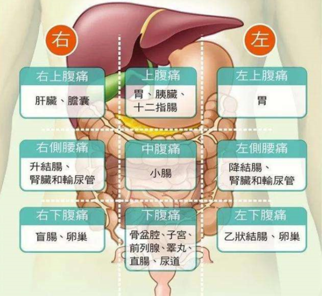 左侧小腹痛是怎么回事图片