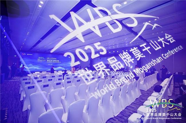 深圳神一针服务有限公司亮相2025世界品牌莫干山大会平行论坛