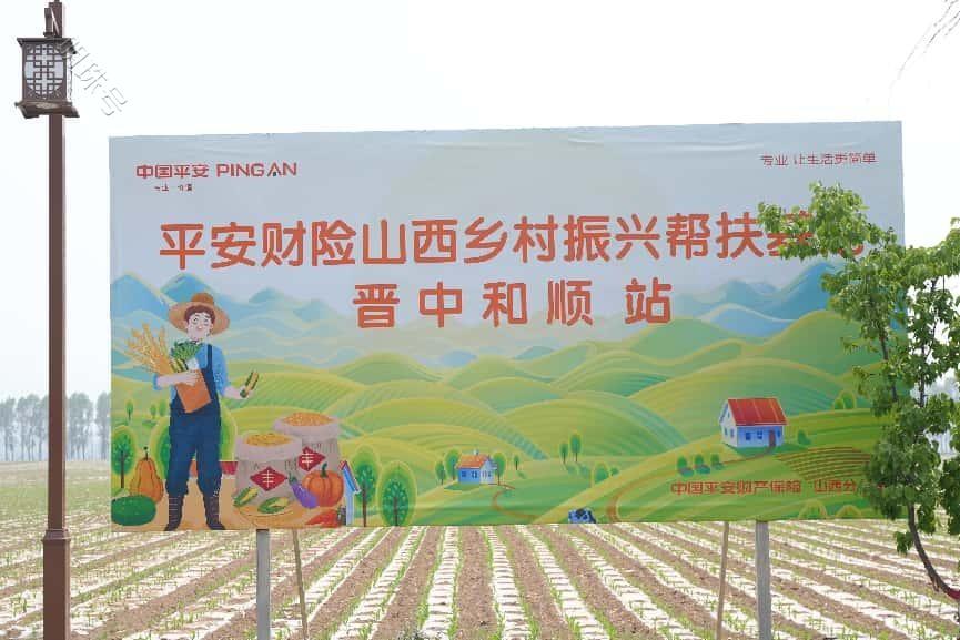 平安财险山西分公司为乡村振兴注入金融保险力量