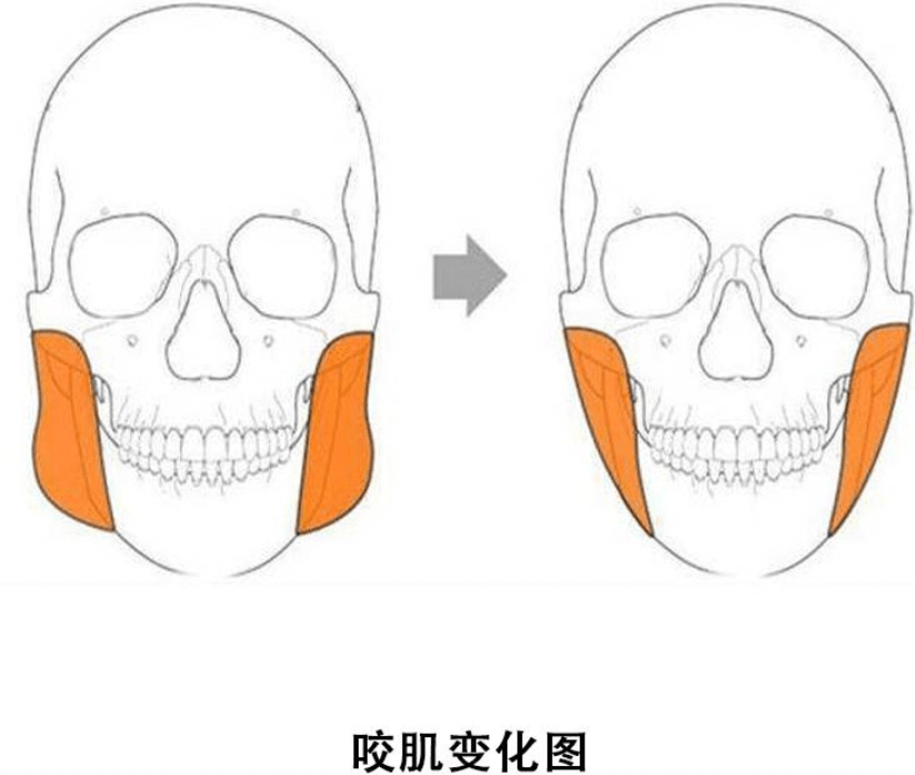 据说她是她的整容模板？这偷脸程度真比血缘还真吧？！