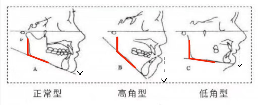 据说她是她的整容模板？这偷脸程度真比血缘还真吧？！