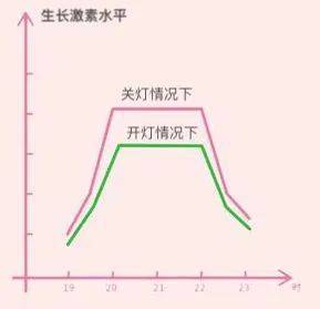 这些不起眼的光，正在让你变胖、变瞎，甚至是身体虚弱