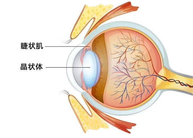 这些不起眼的光，正在让你变胖、变瞎，甚至是身体虚弱