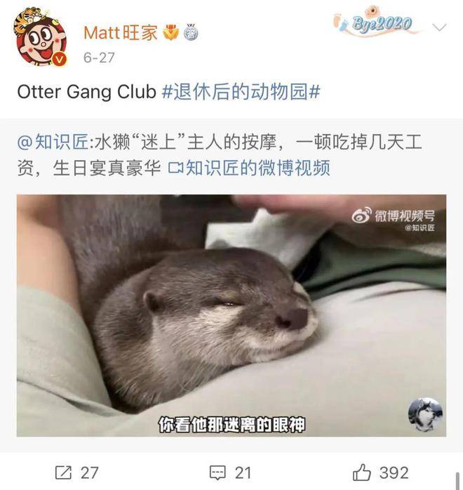 身家510亿的旺旺家二公子，贡献了我今年的全部笑点！！