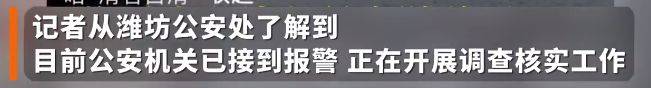 全网最委屈小狗疑似被主人扎针，网友：清者自清