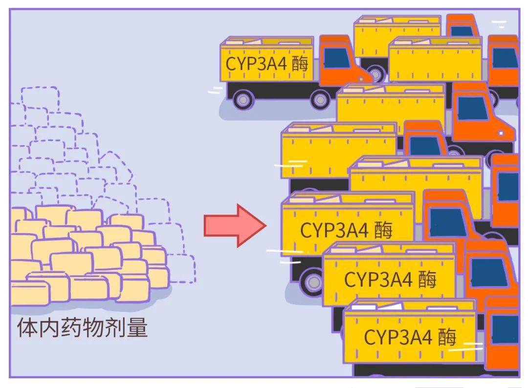 吃降压要的人，千万当心一种水果