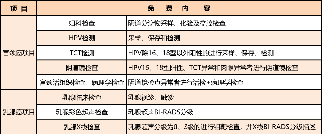 两癌筛查主要查什么图片