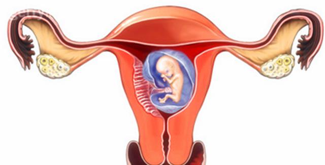 女性在排卵期的时候分别都有什么症状?今天,我们来告诉各位答案