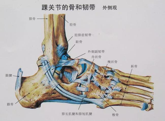 乾貨丨提高跑步經濟性,從掌控你的身體開始!