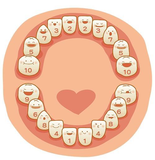 乳牙对恒牙的萌出会起向导作用?