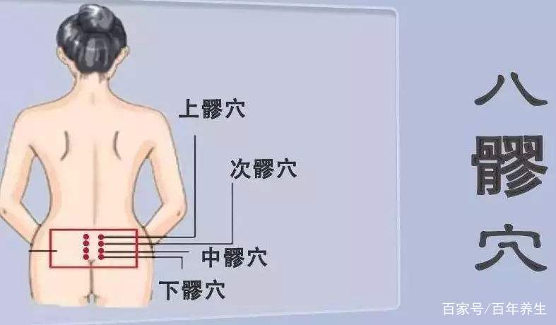 人体腰骶部位置图图片