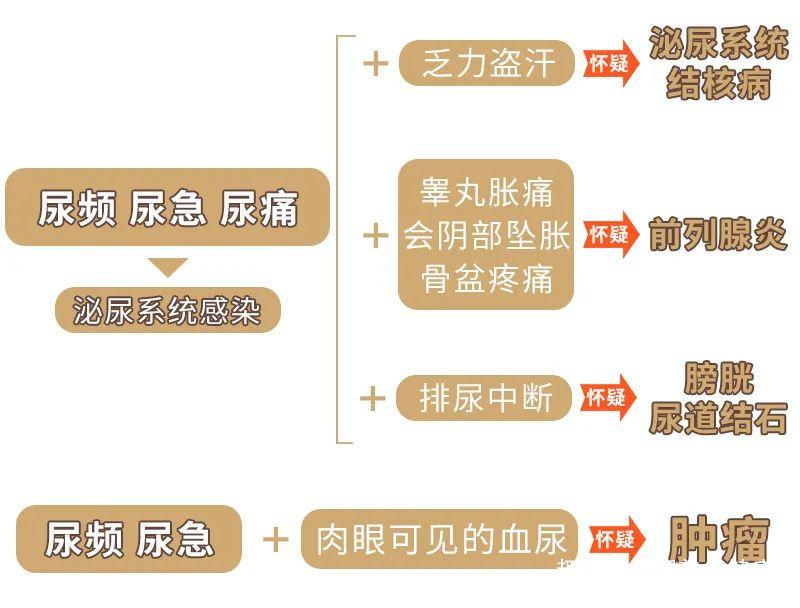 还出现了乏力,盗汗的症状,首先要考虑是不是泌尿系统结核病