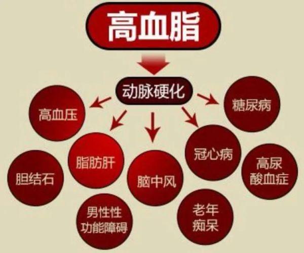 高血脂图片素材图片