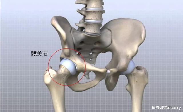 导致髂胫束的后缘或者是臀大肌肌腱部的前缘增厚,或出现股骨大转子