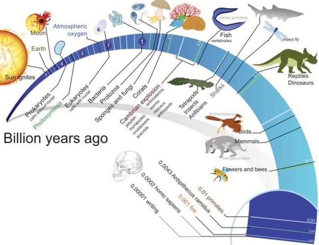 活著不好嗎,地球上的生物為什麼要進化出死亡?